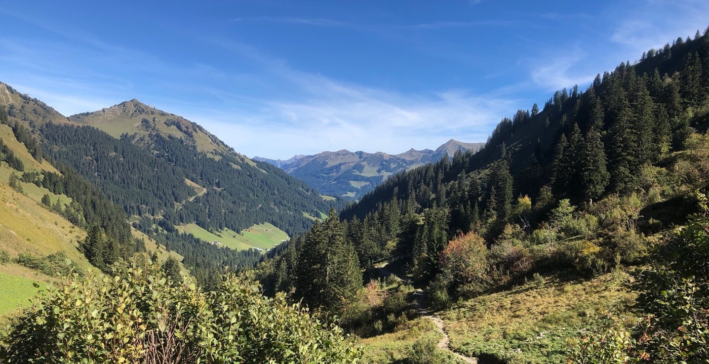 Blick durch das Wildental auf die Bergwelt des Kleinwalsertals an einem Sommertag